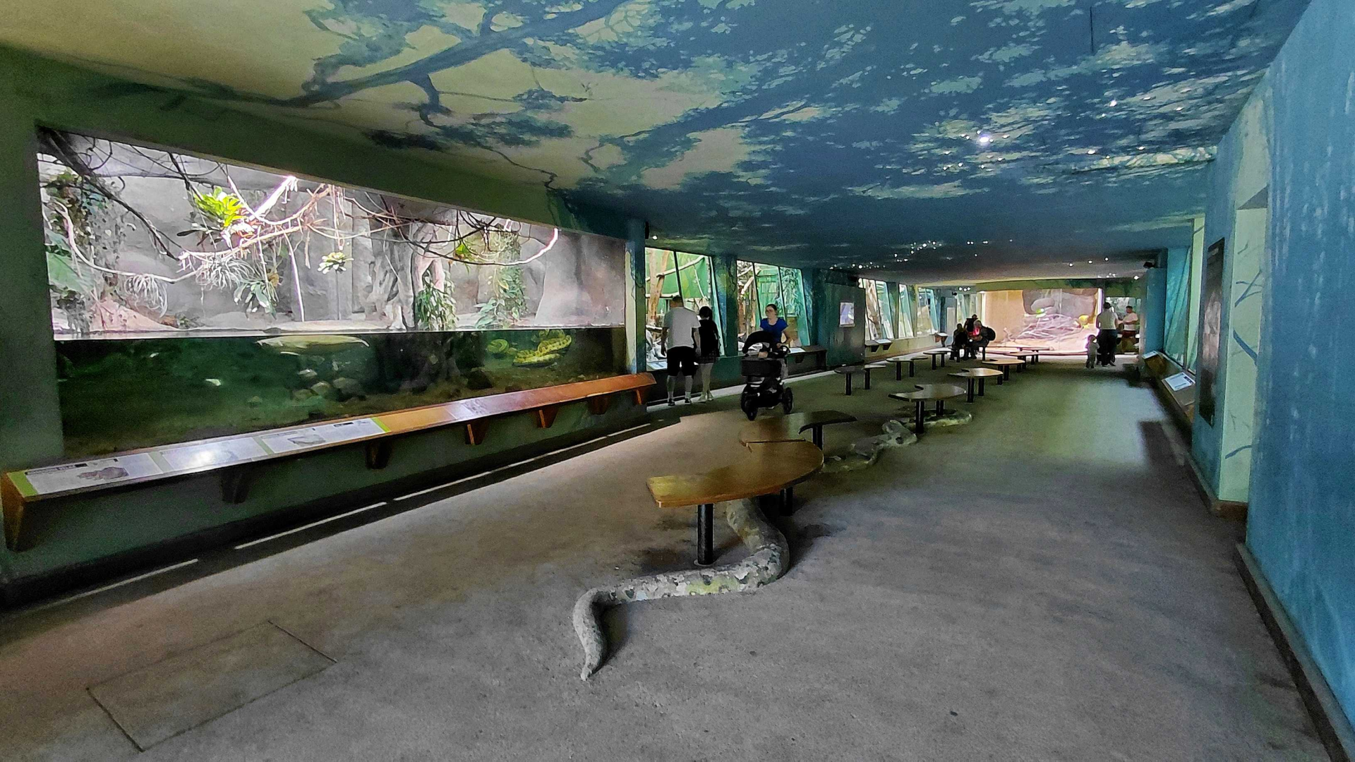 Inside the Feline and reptile house