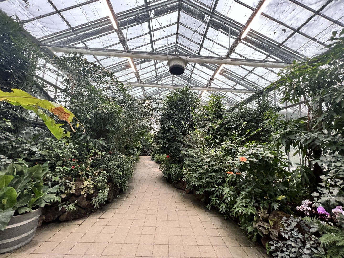 Inside the Flower and Butterfly House