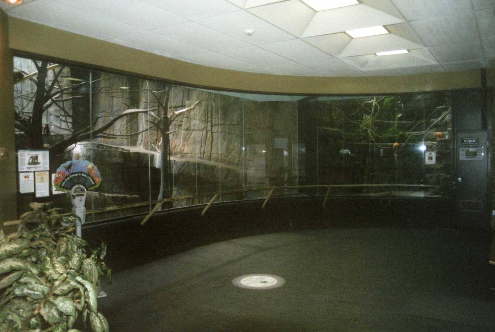 Inside the former elephant house