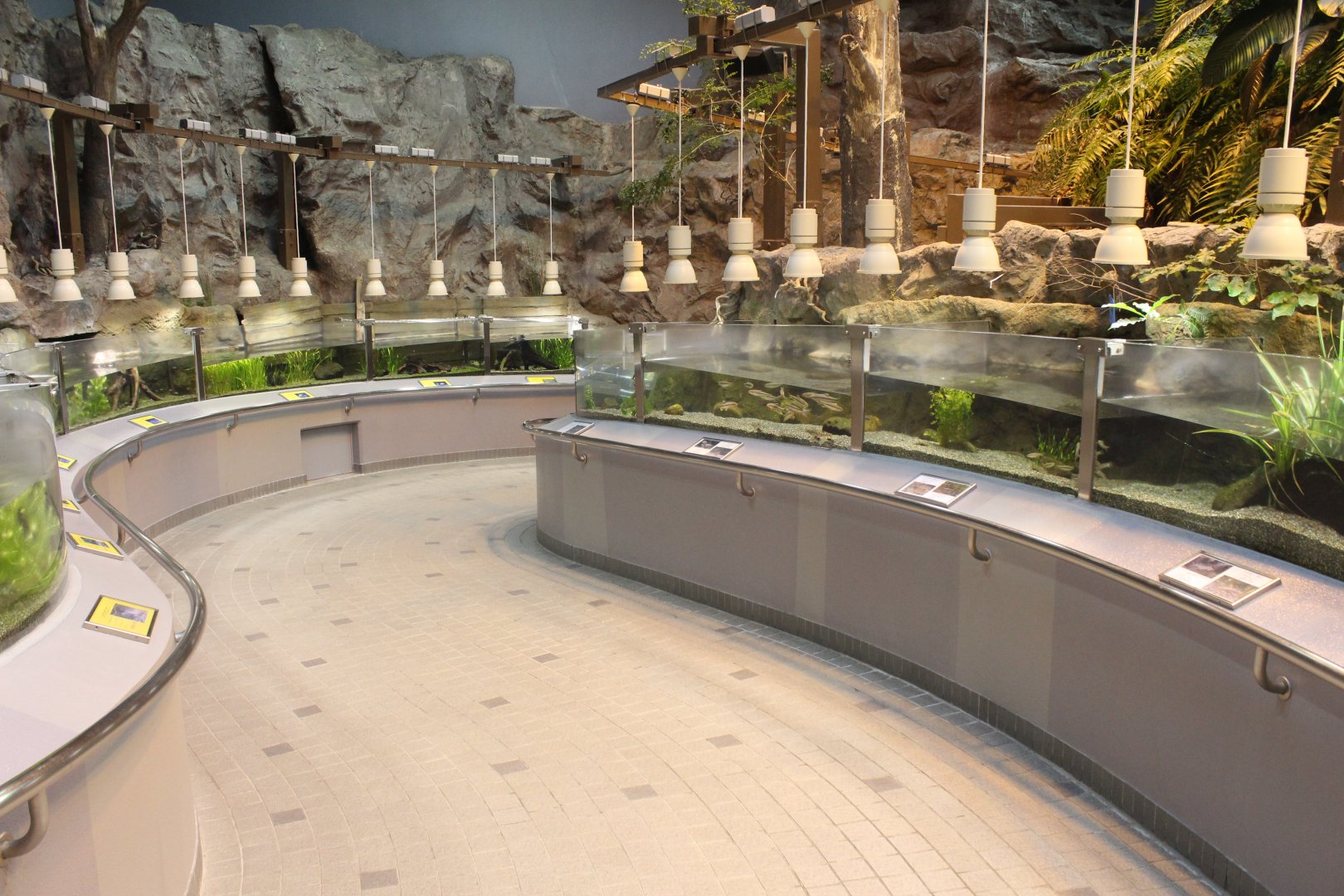 Inside the freshwater aquarium