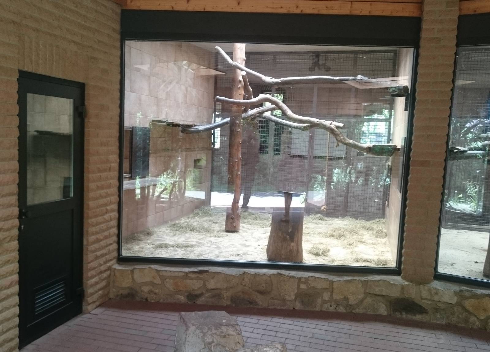 Inside the Gelada House