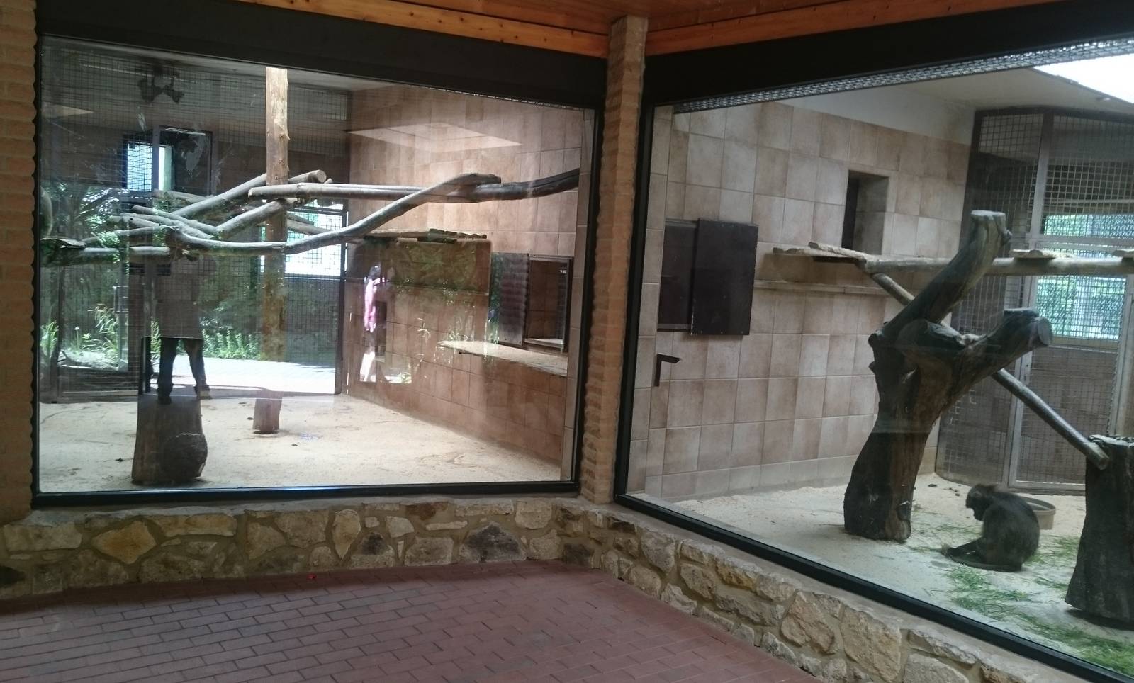 Inside the Gelada House