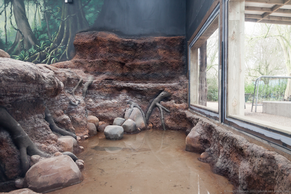 Inside the Giant Otter Building - 27/01/2012