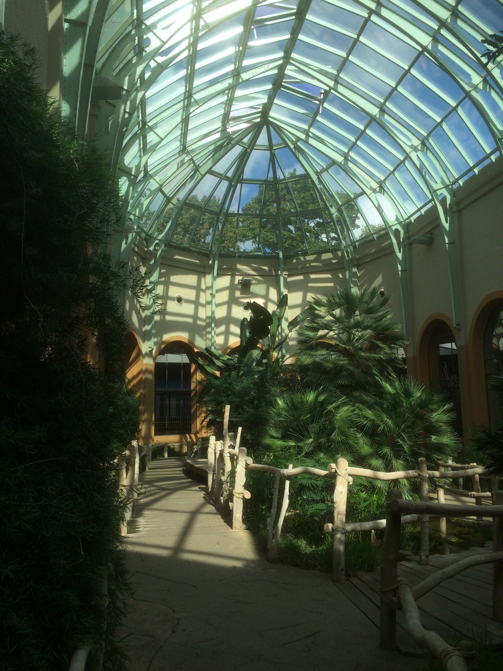 Inside the giraffe/antelope house