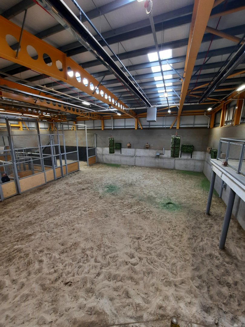 Inside the giraffe house