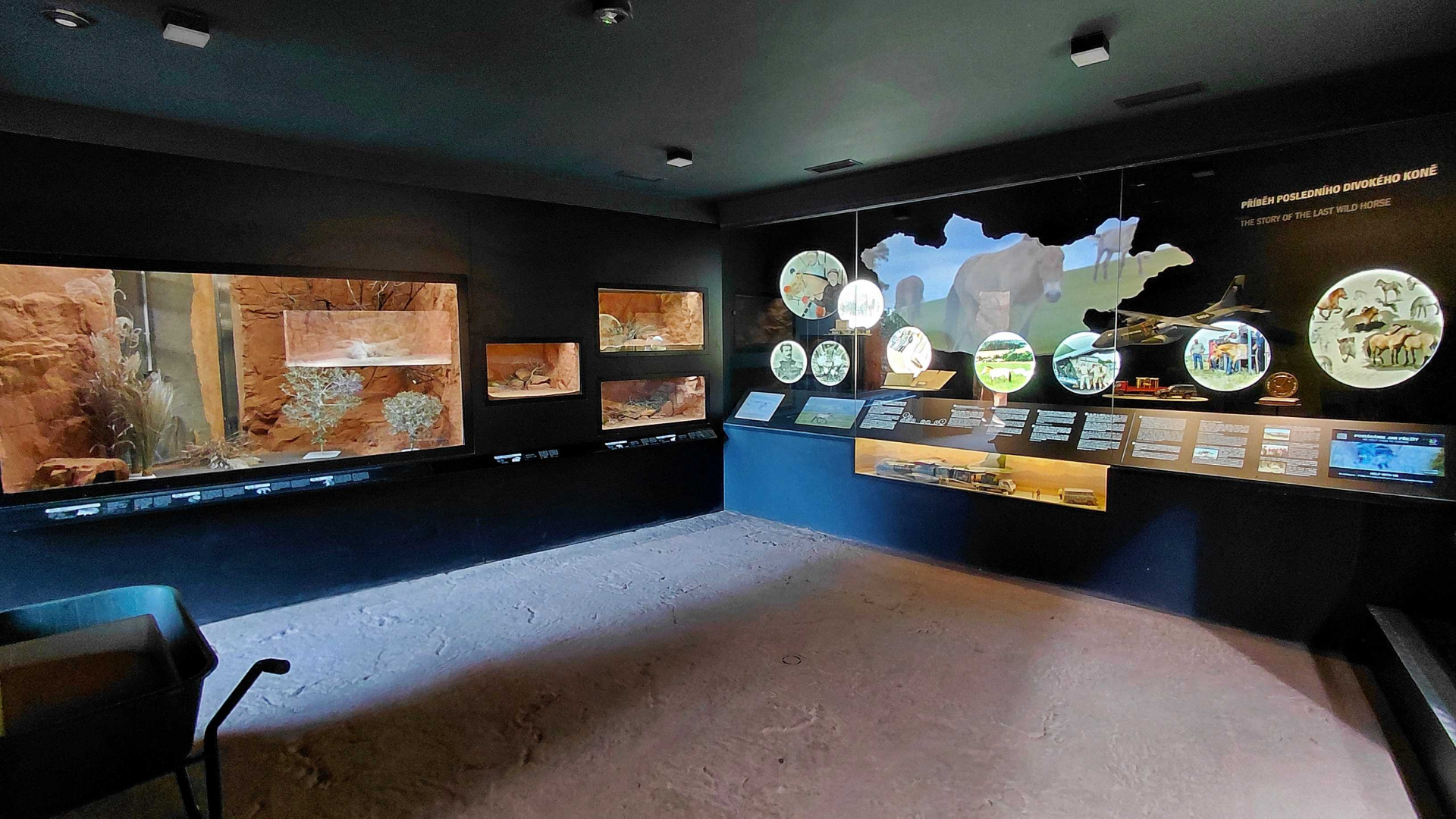 Inside the Gobi house