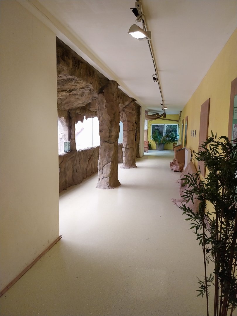 Inside the Gorilla Bai