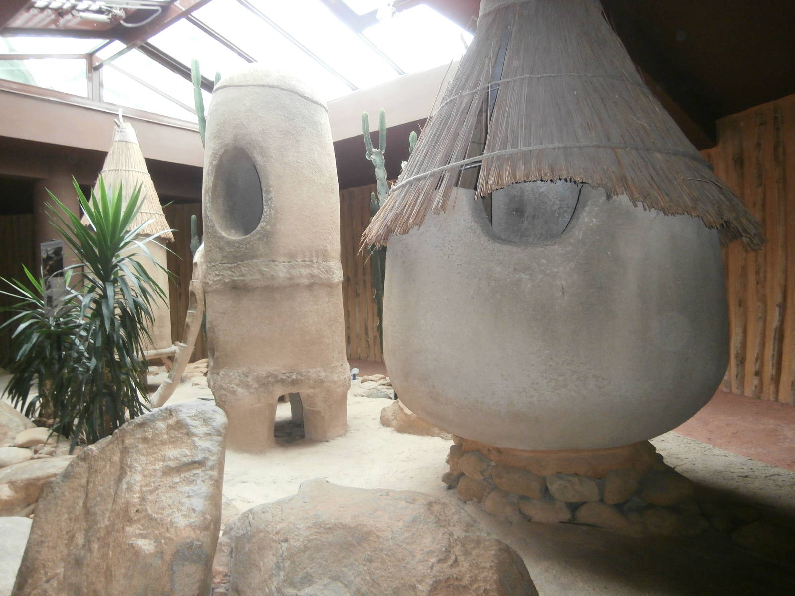 Inside the great ape house