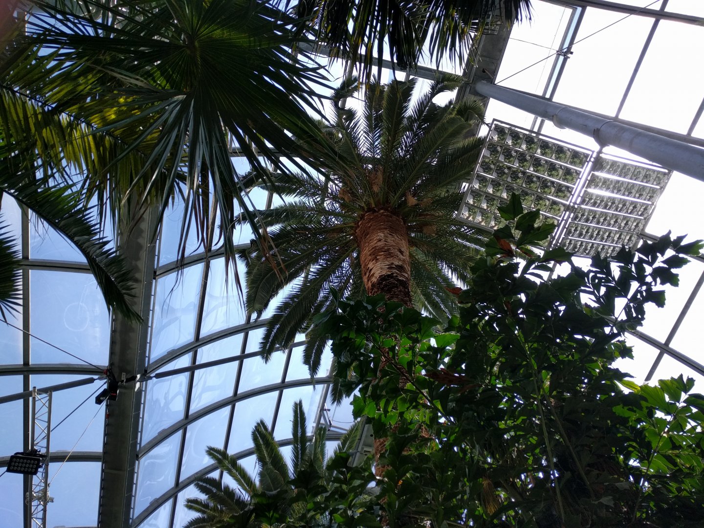 Inside the Green House