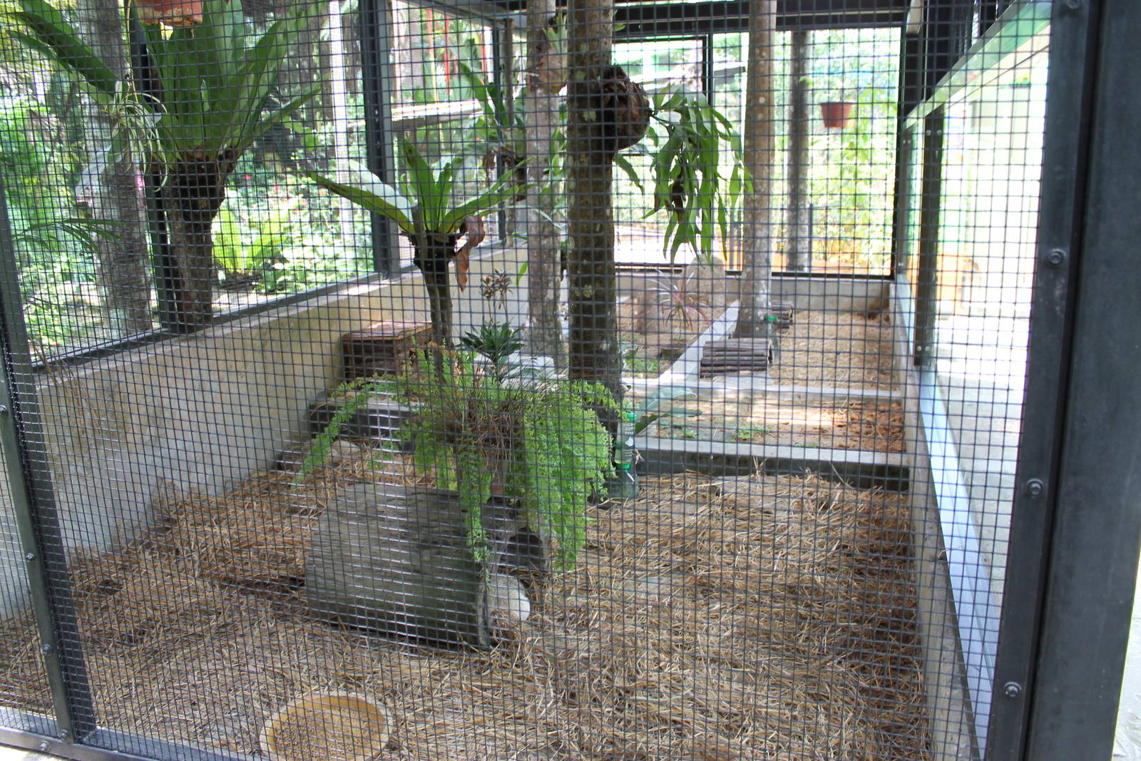 inside the hedgehog enclosure