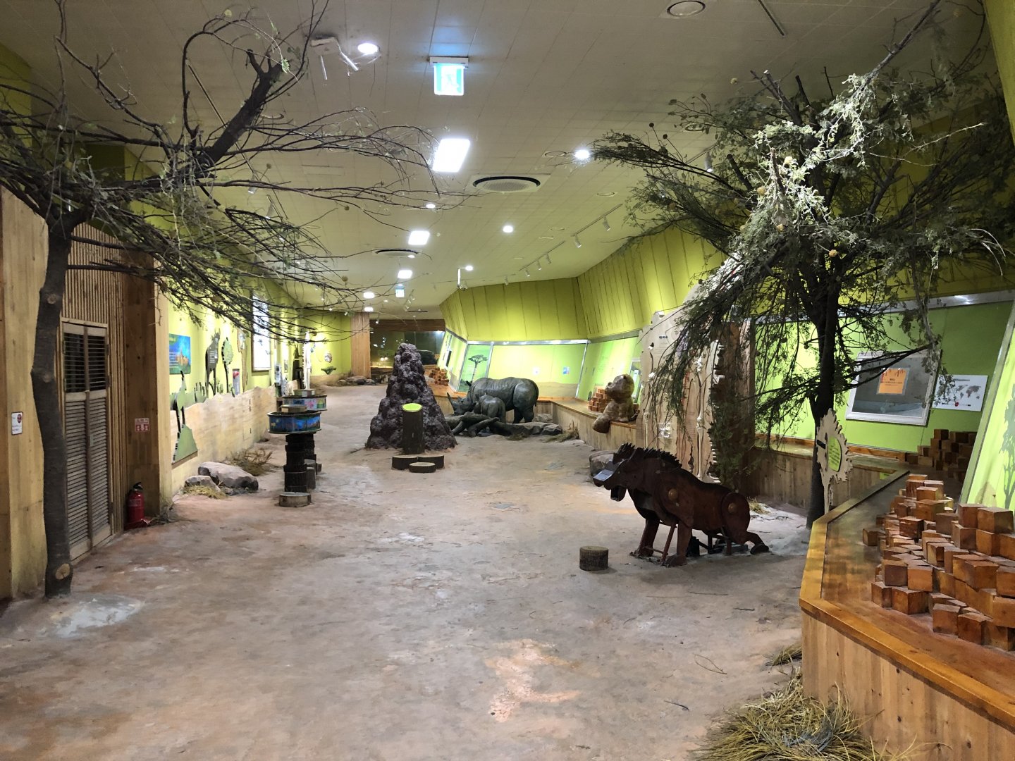 Inside the Hippo House