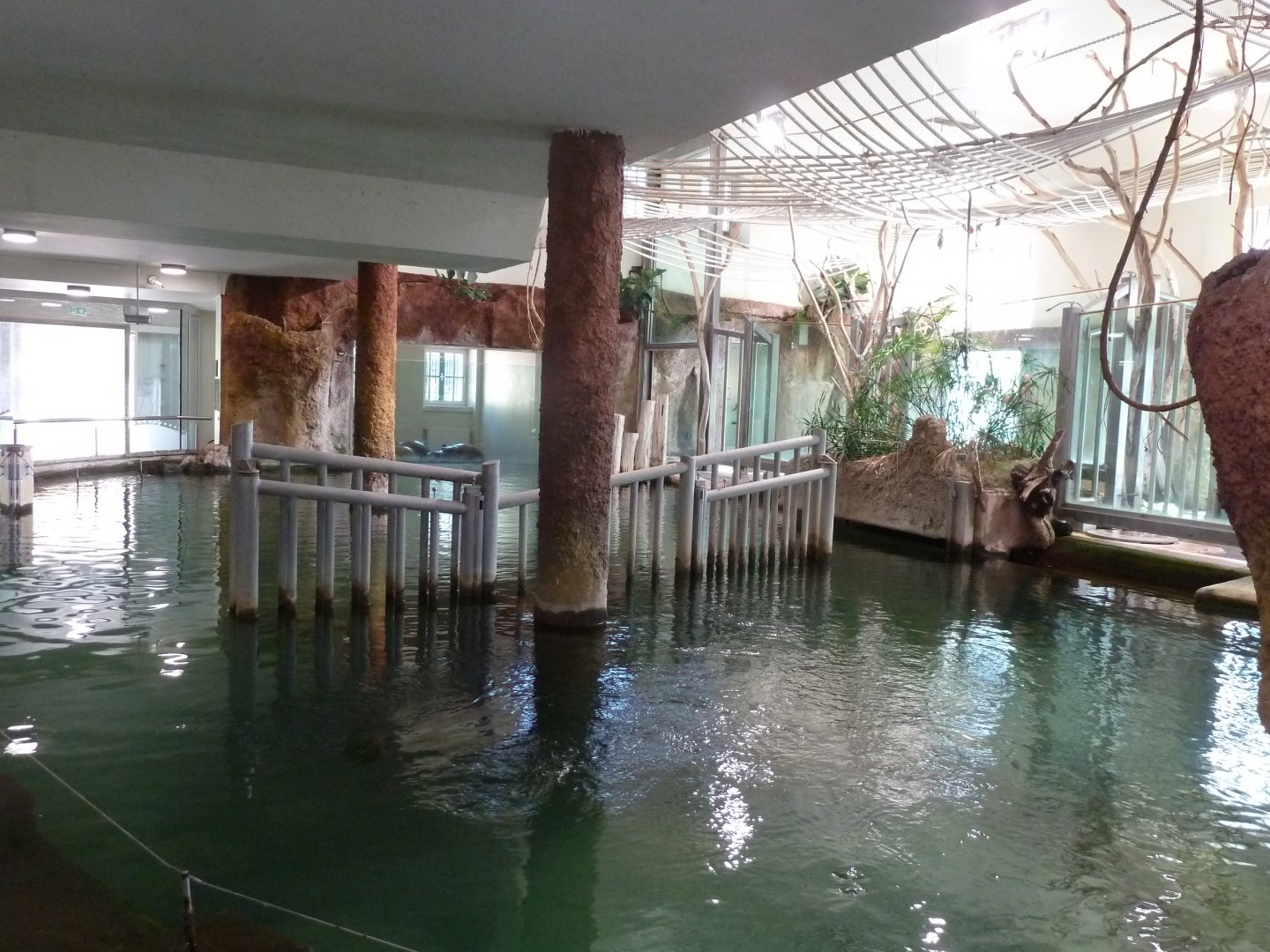 Inside the Hippo house