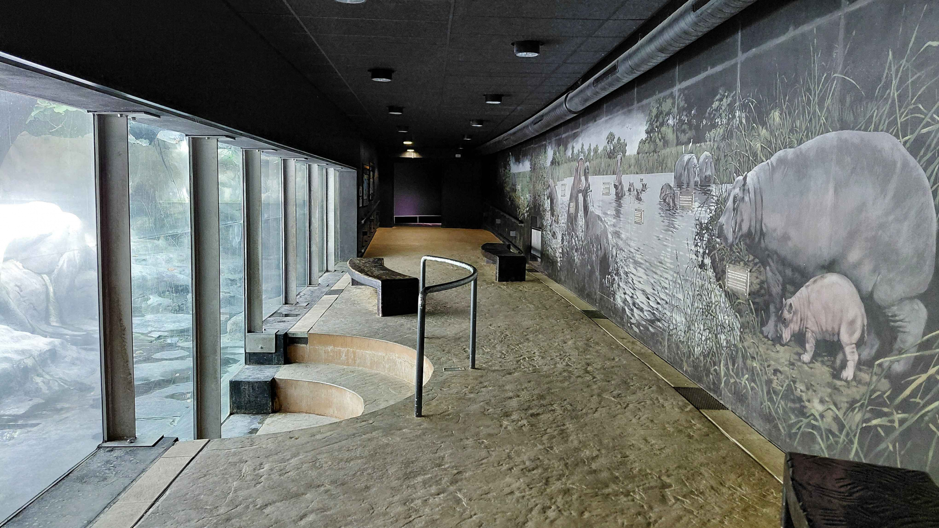 Inside the hippo house