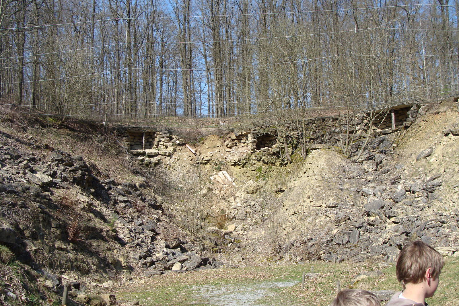 Inside the huge vulture aviary