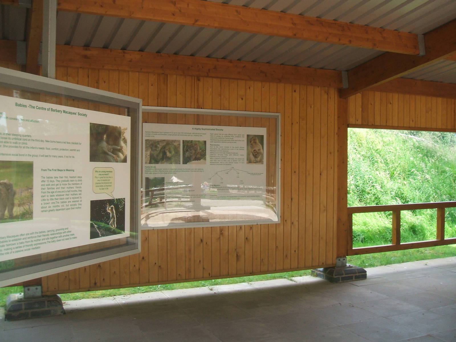 inside the info hut