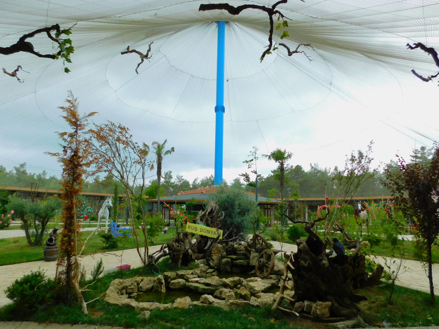 Inside the Istanbul Bird Paradise