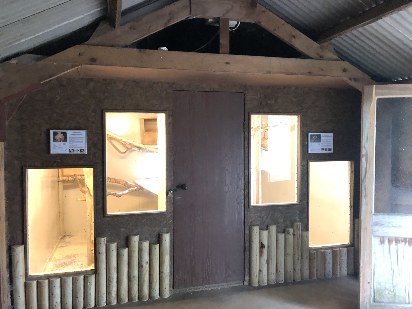 Inside the Lemur/Civet/Possum House at Hamerton Zoo Park (October 2023)