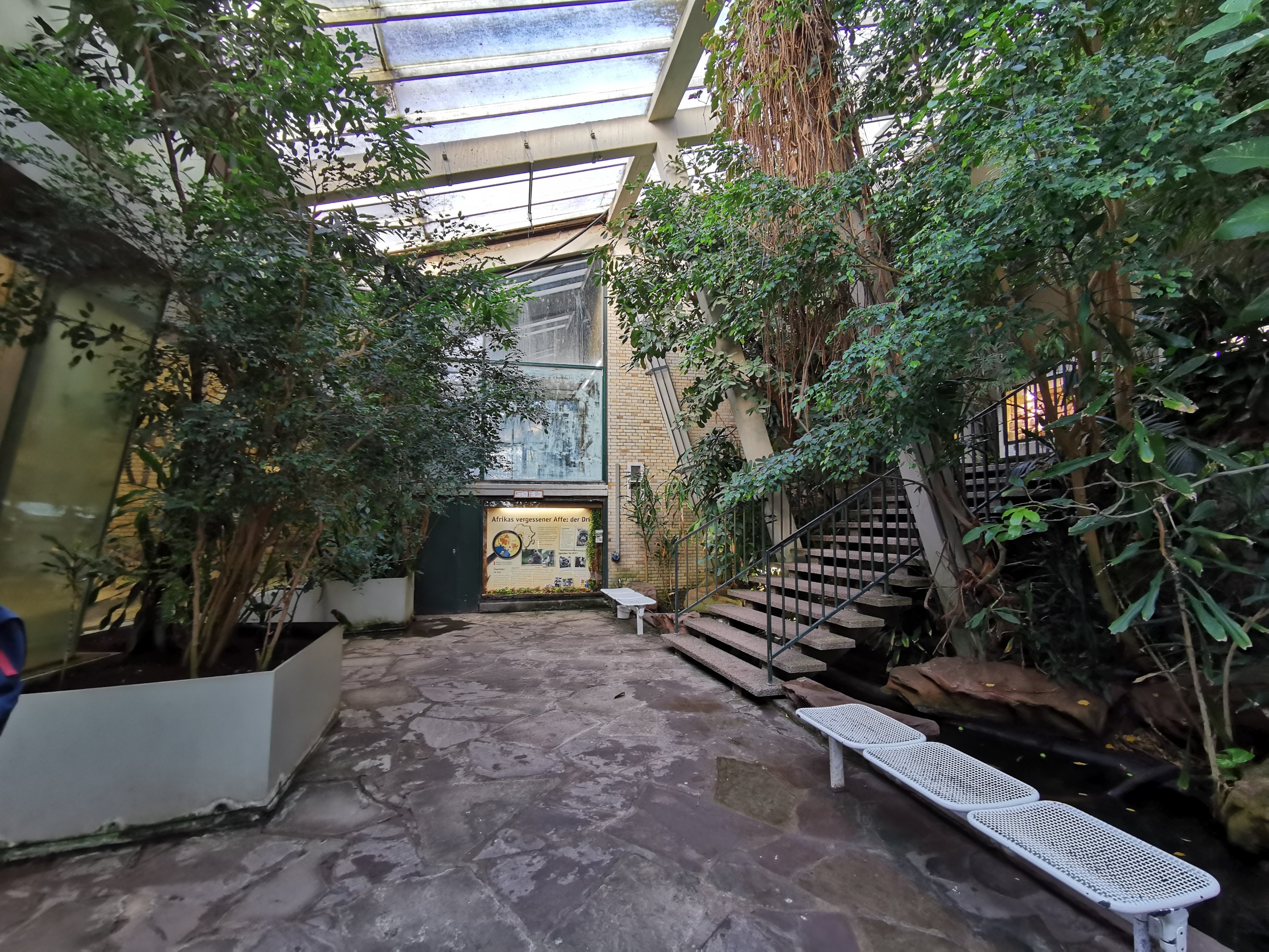 Inside the Lemur house