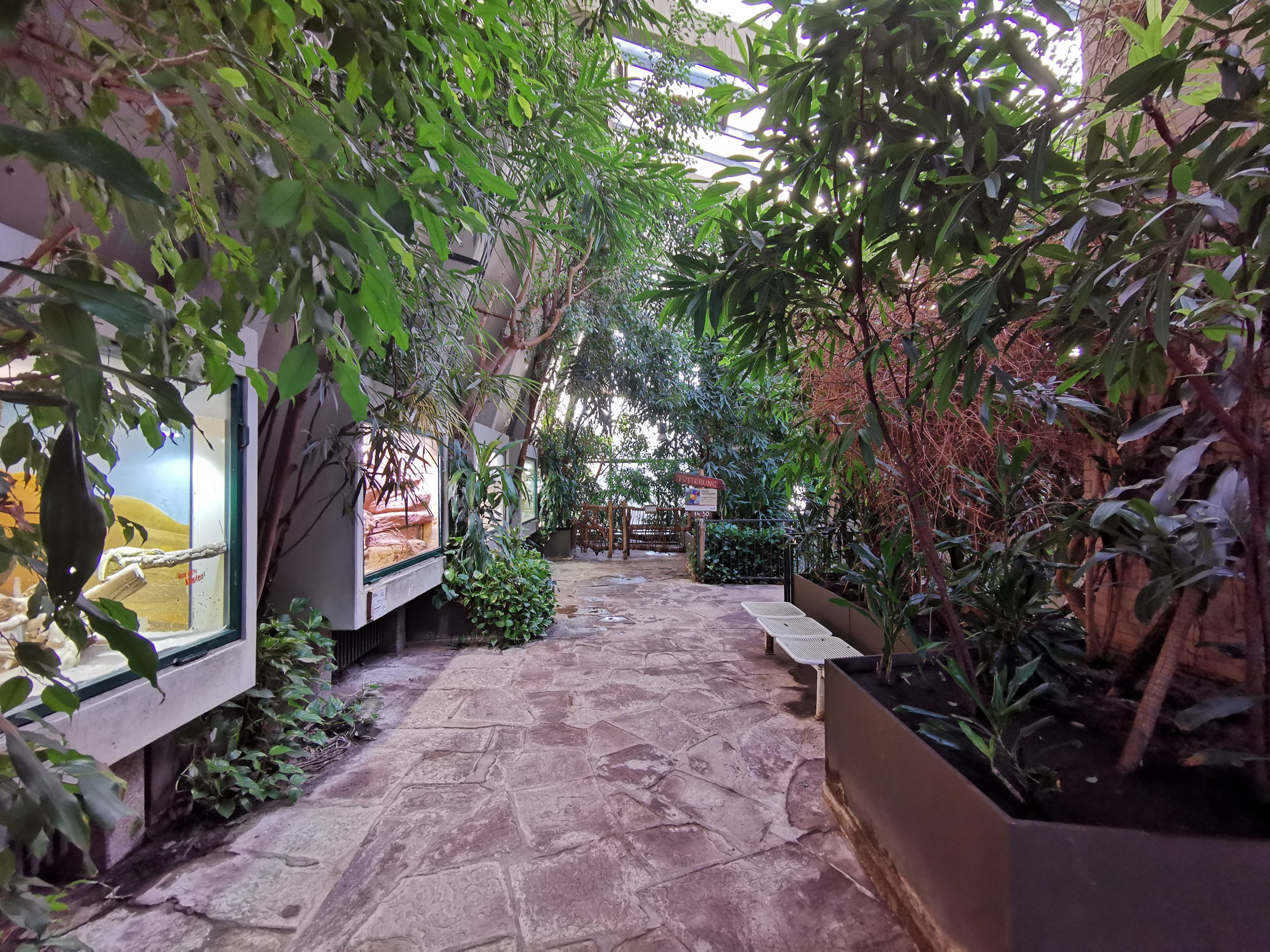 Inside the Lemur house