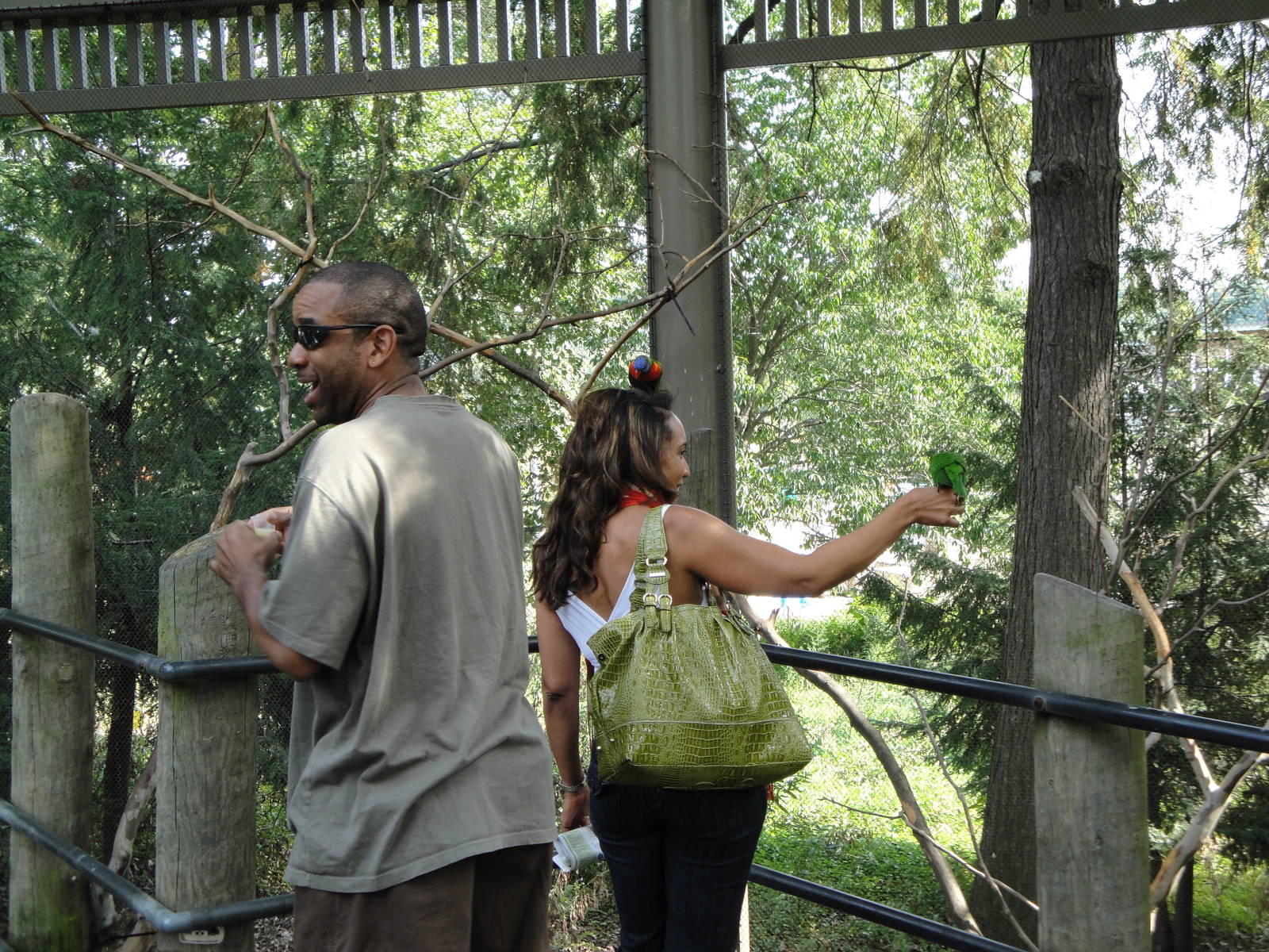 Inside the Lorikeet Exhibit