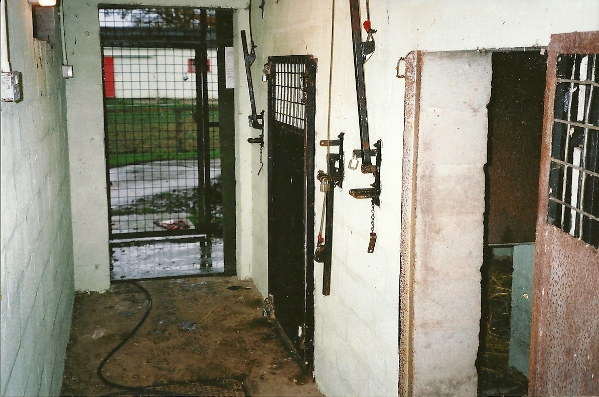 Inside the Lynx House, 25th November 2000