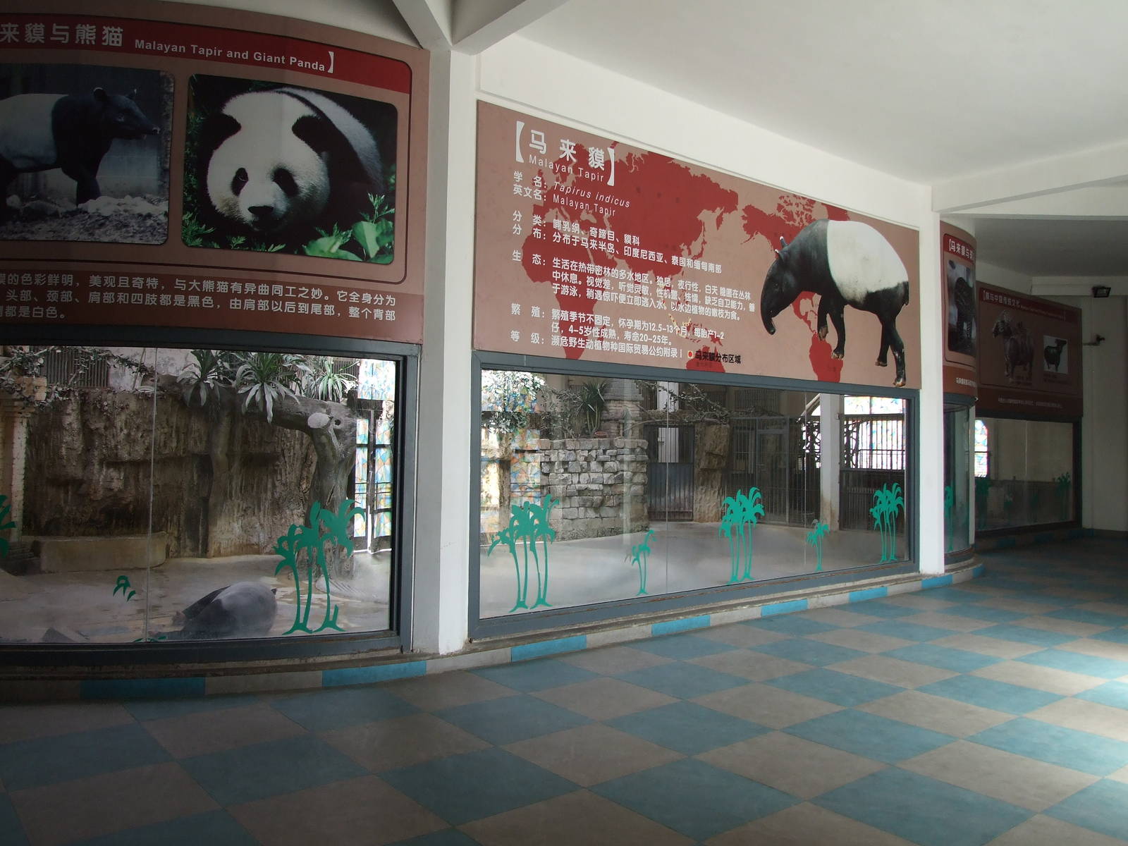 Inside the Malayan tapir house
