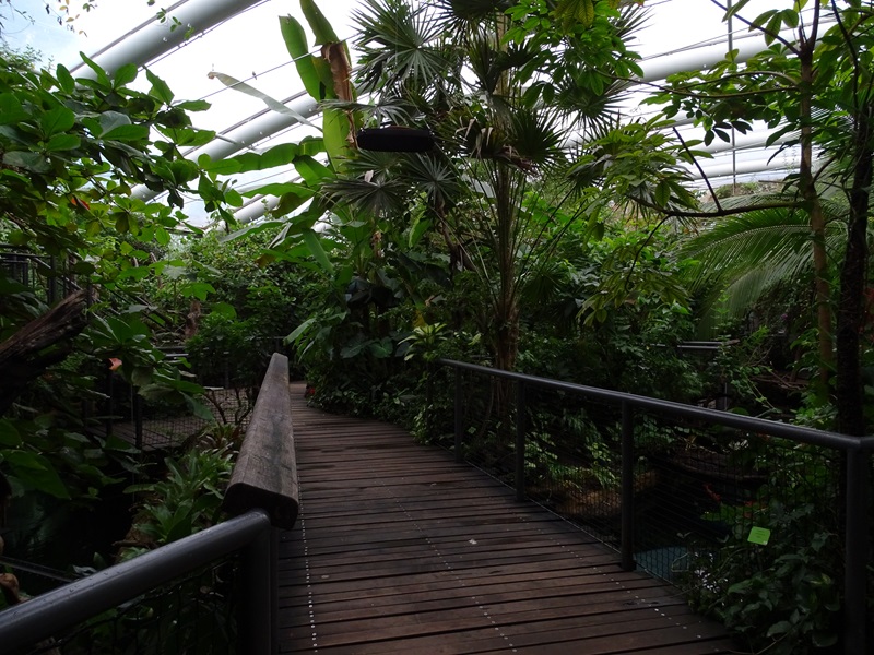Inside the Manatee House