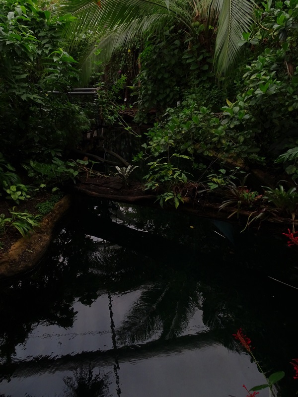 Inside the Manatee House
