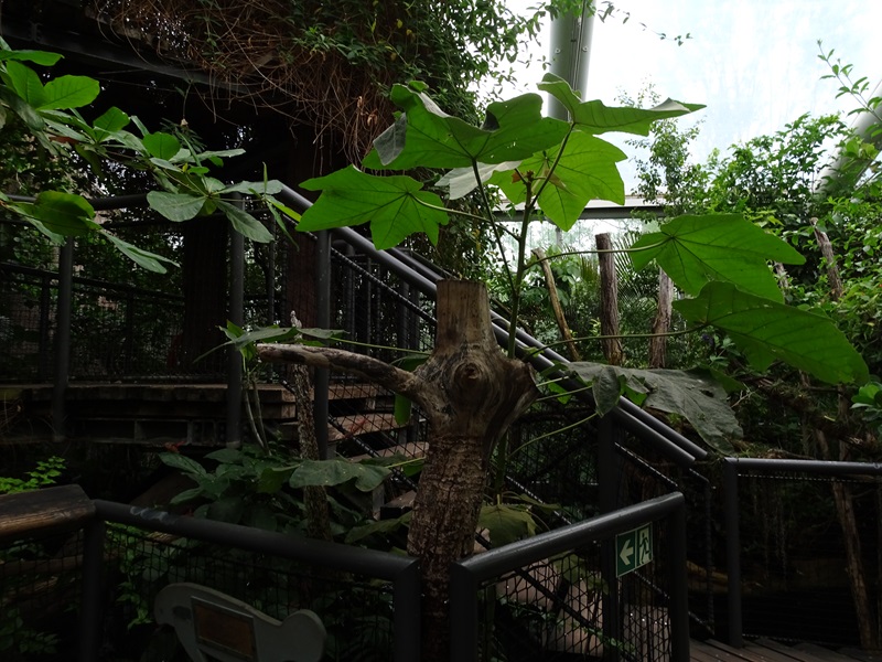 Inside the Manatee House