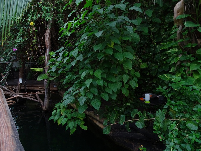 Inside the Manatee House