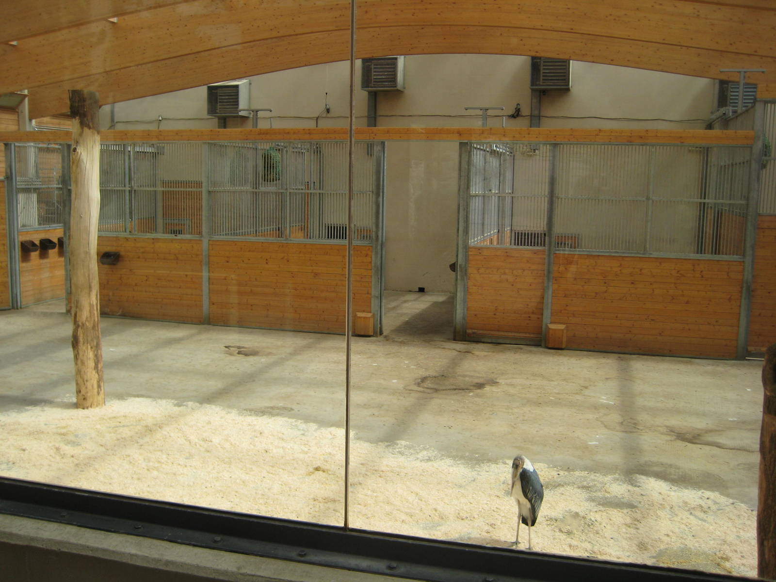 Inside the Marabou house