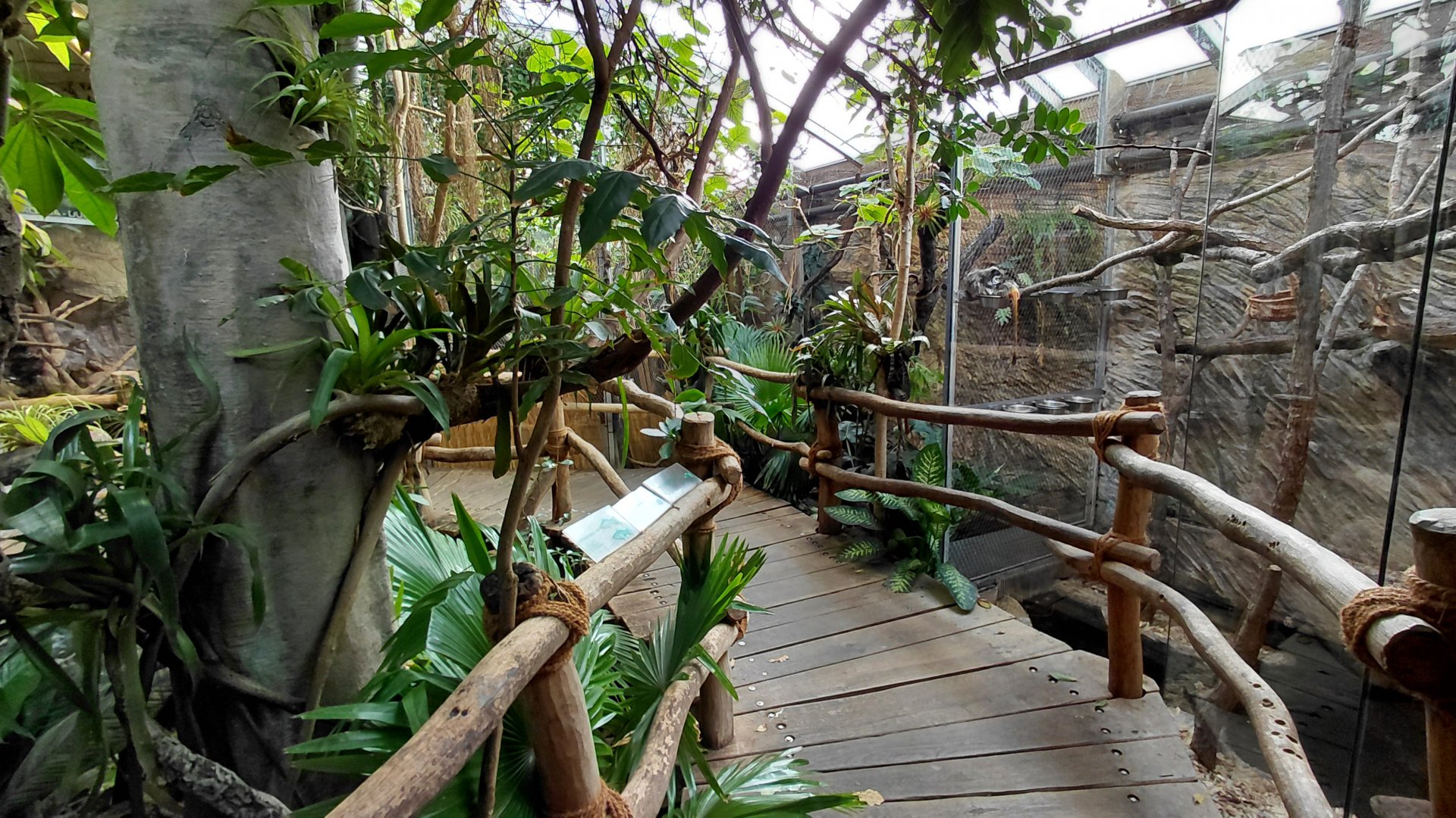 Inside the Matamata house