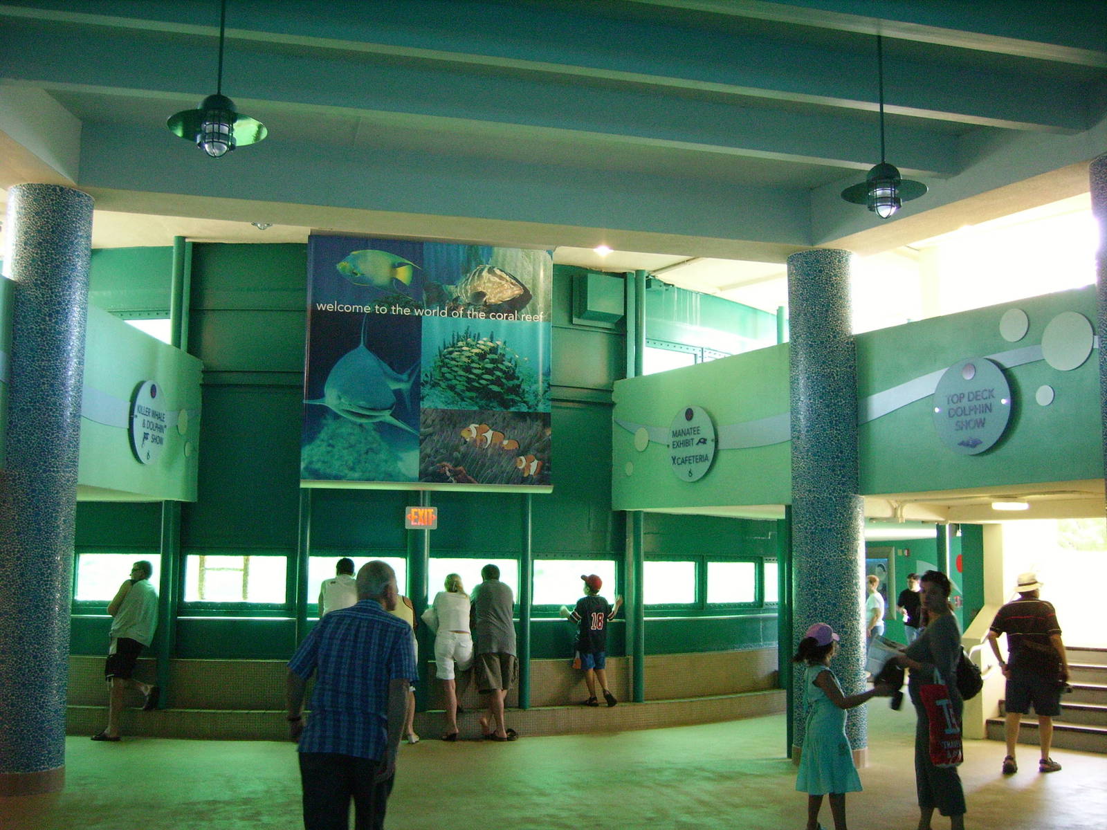 Inside the Miami Seaquarium