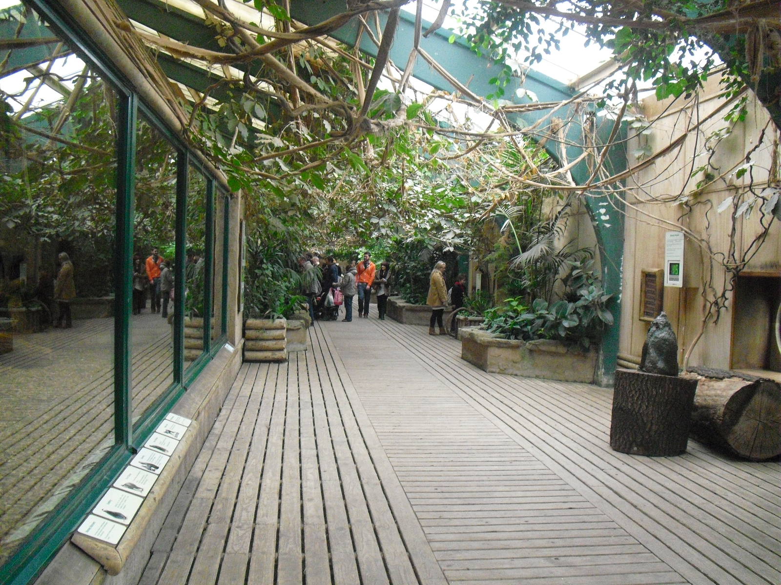 Inside the Monkey House - 16/02/2011