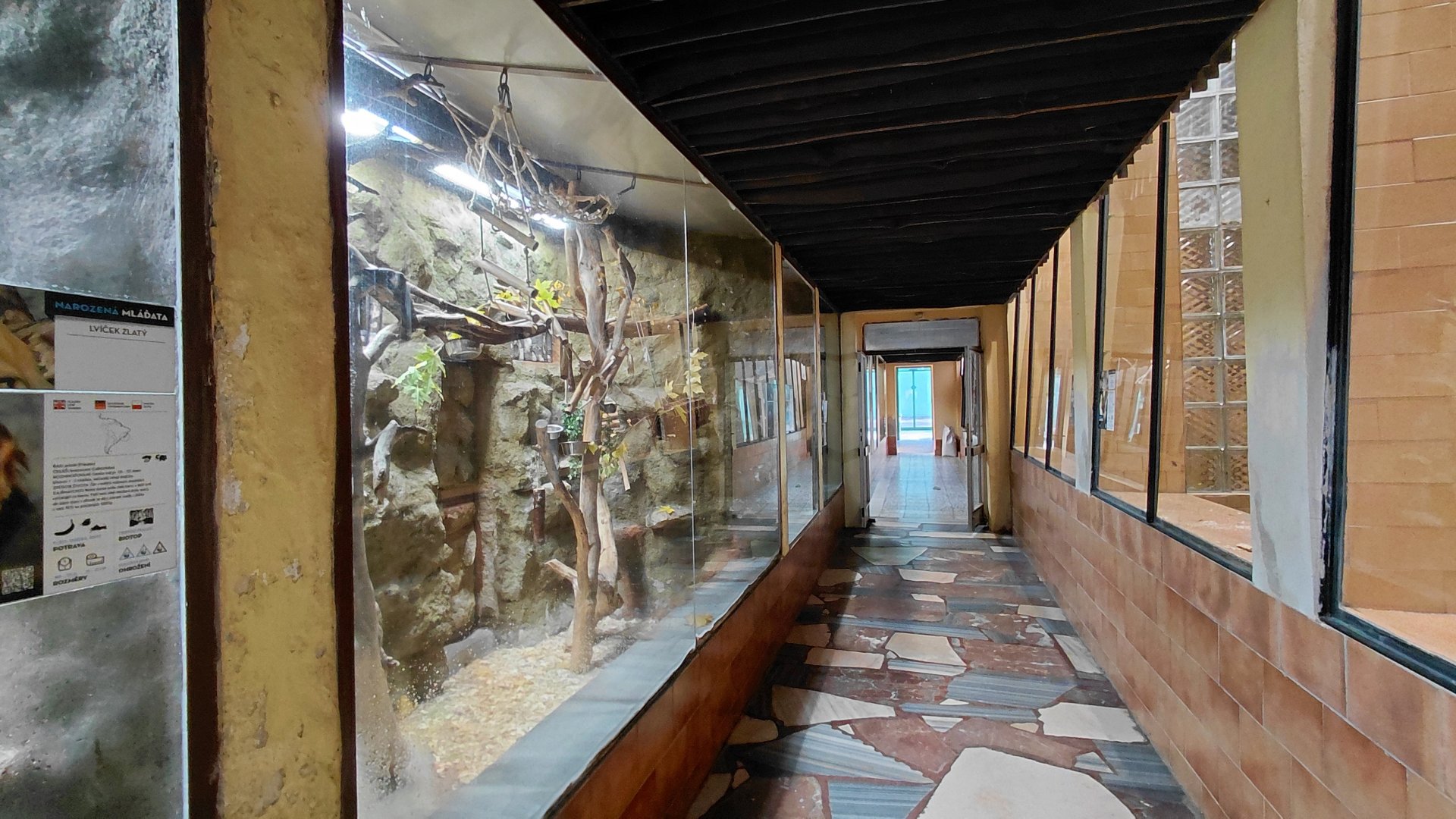 Inside the monkey house
