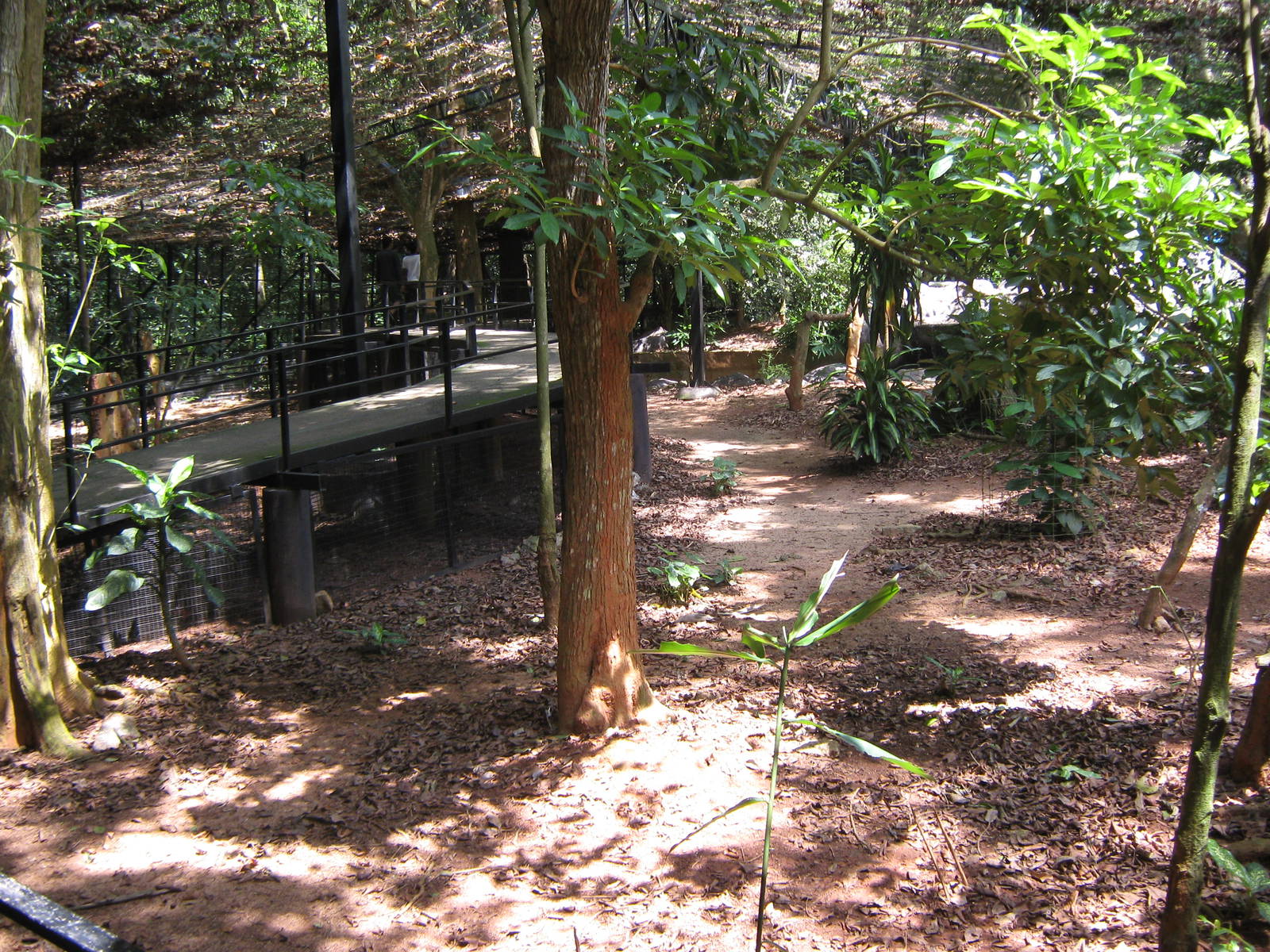 inside the Mouse Deer Park