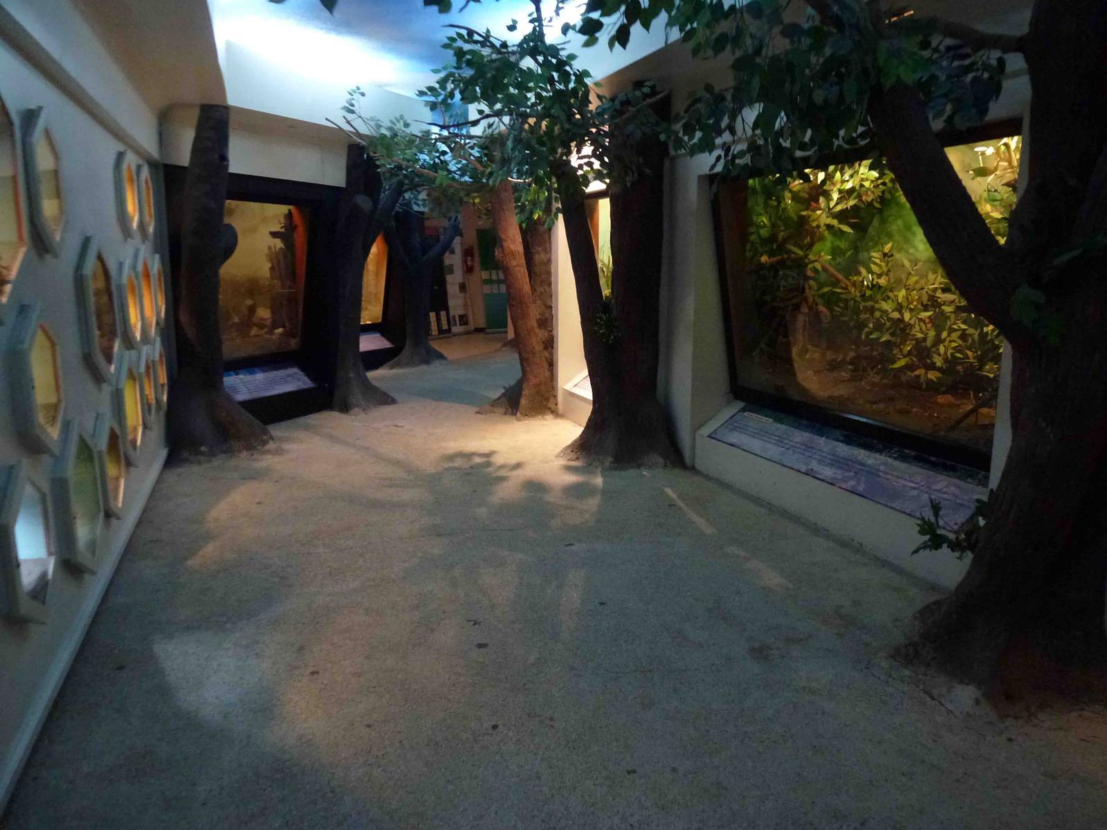 Inside the museum, July 2013.