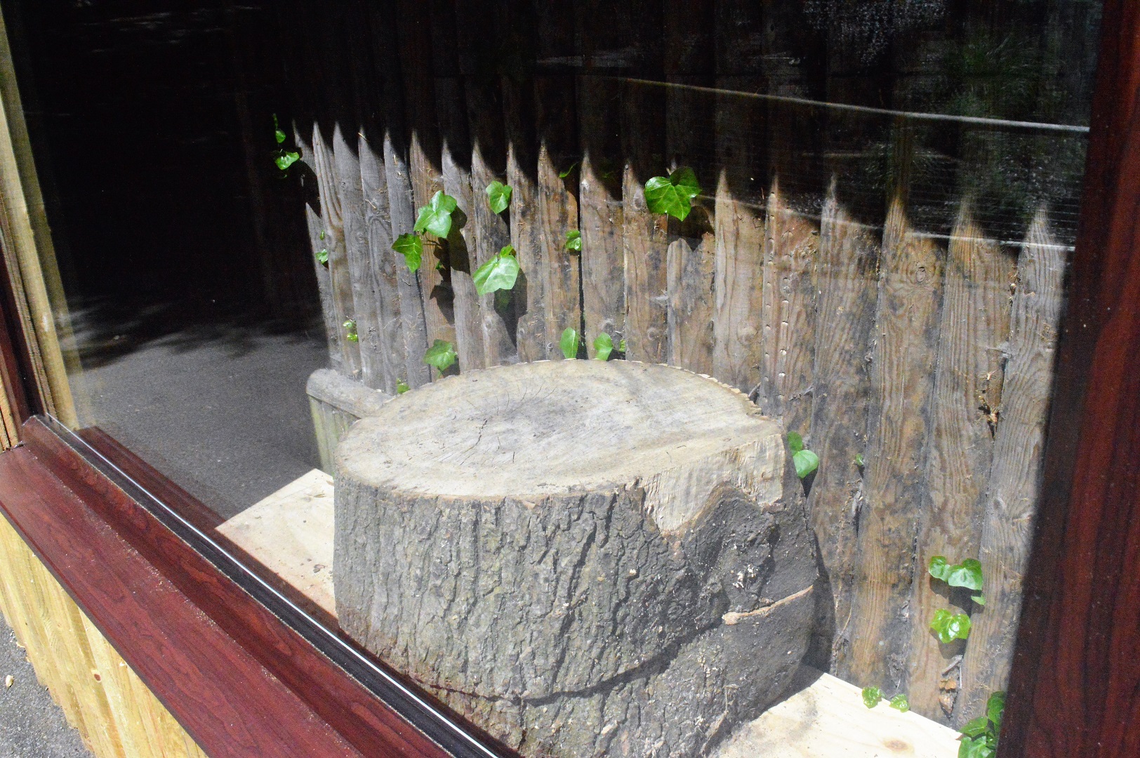 Inside the new build joined to the orang house