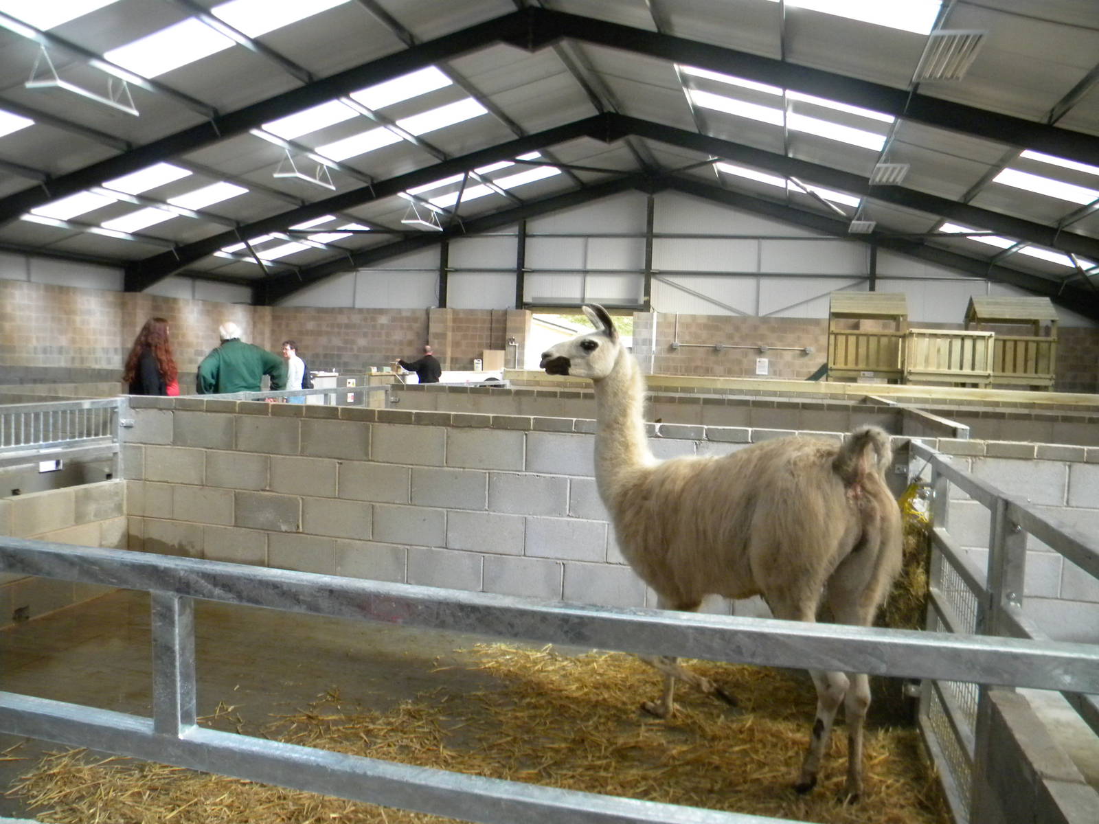 Inside the new Childrens Farm at Blackpool Zoo 10th April 2011