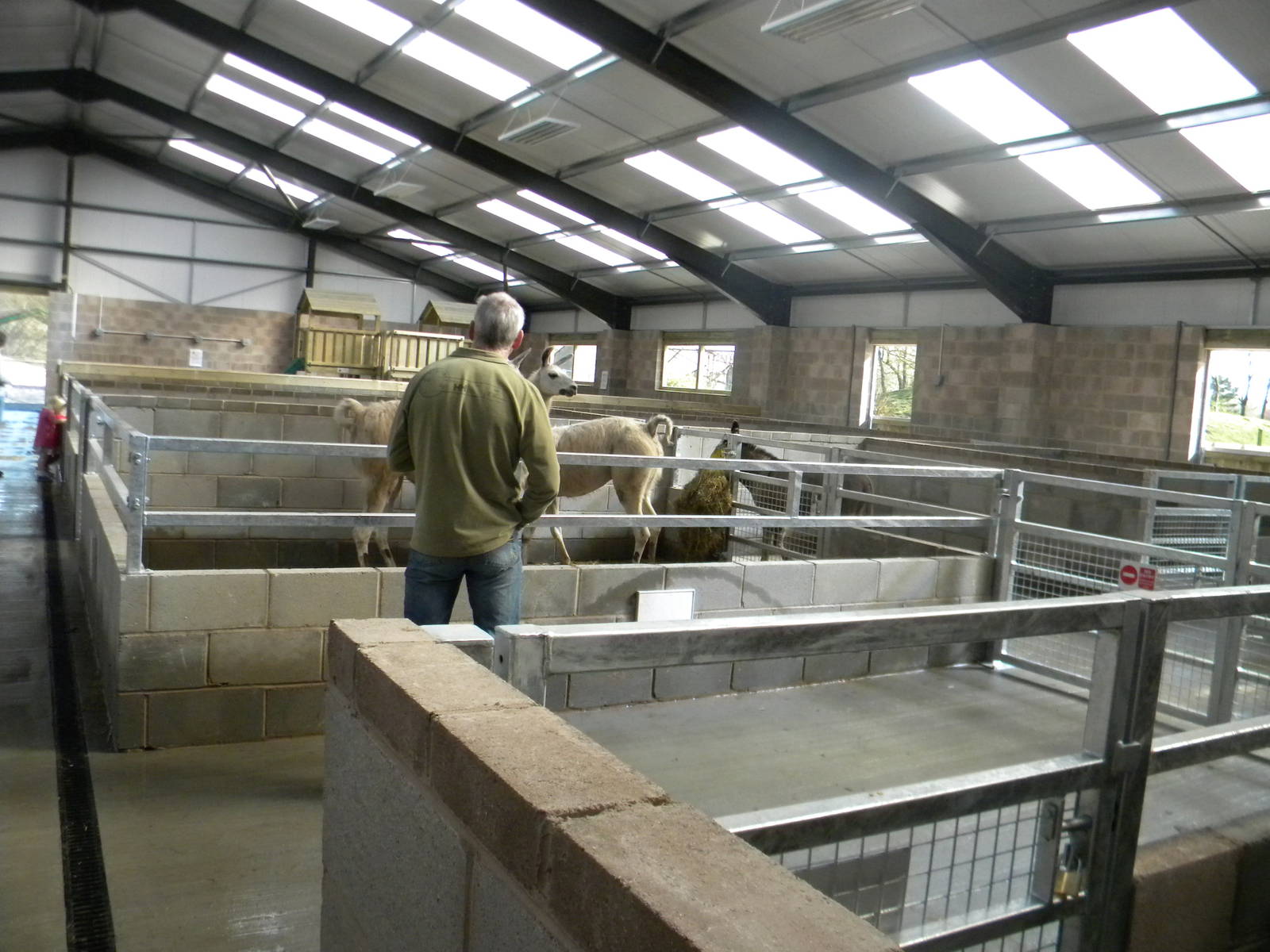 Inside the new Childrens Farm at Blackpool Zoo 10th April 2011