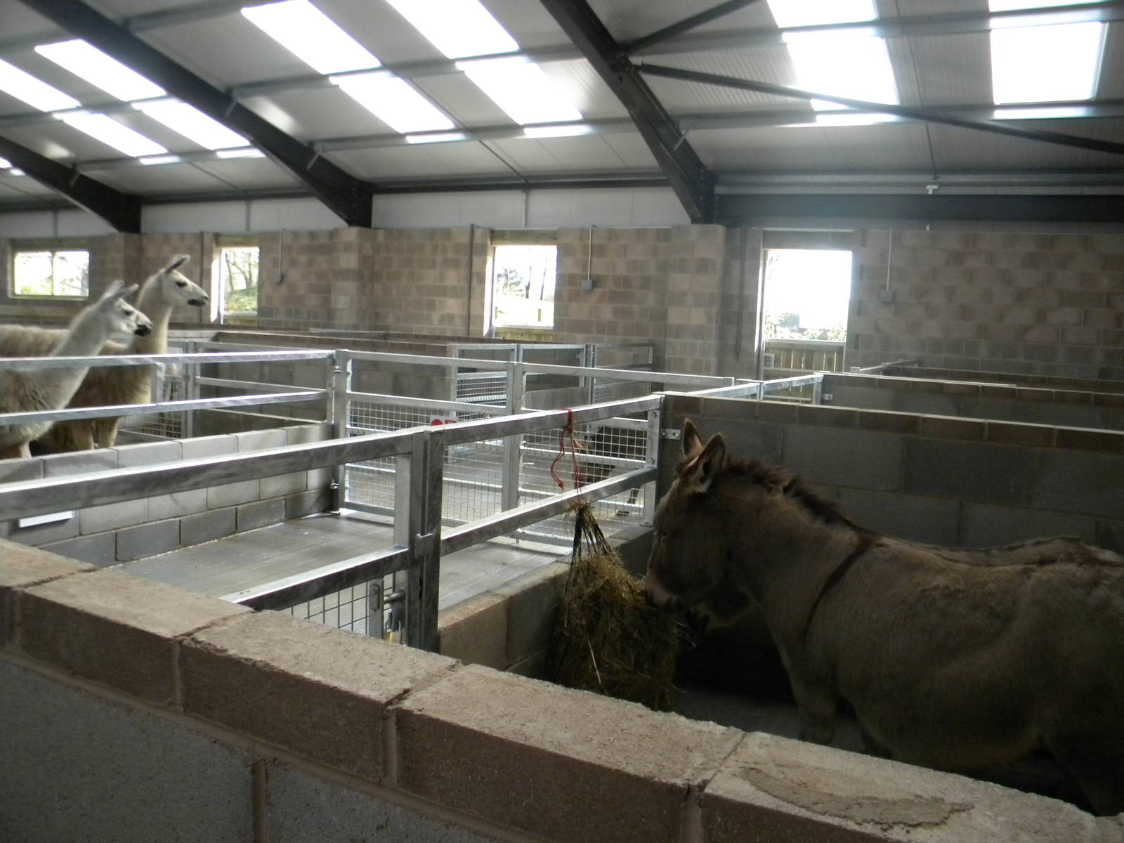 Inside the new Childrens Farm at Blackpool Zoo 10th April 2011