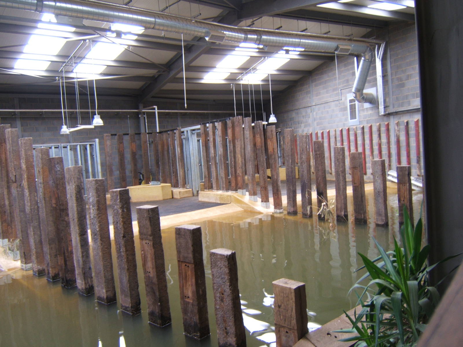 Inside the new Indian Rhino House