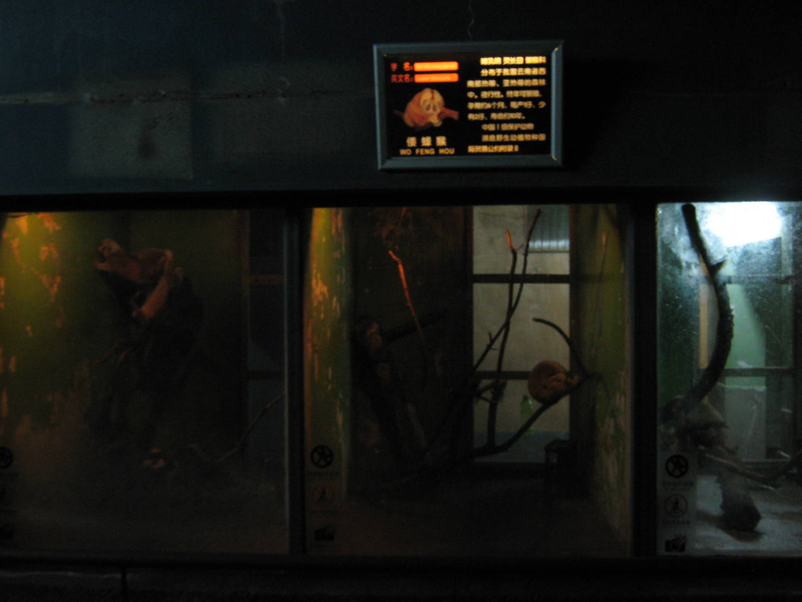 inside the Nocturnal House