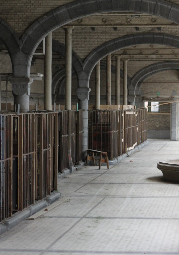 Inside the old Cattle-stables
