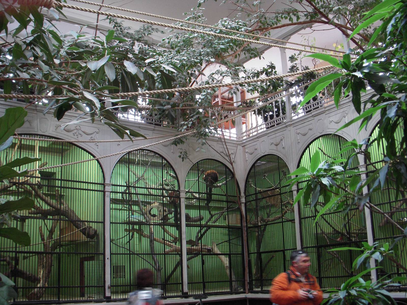 Inside the old Primate house