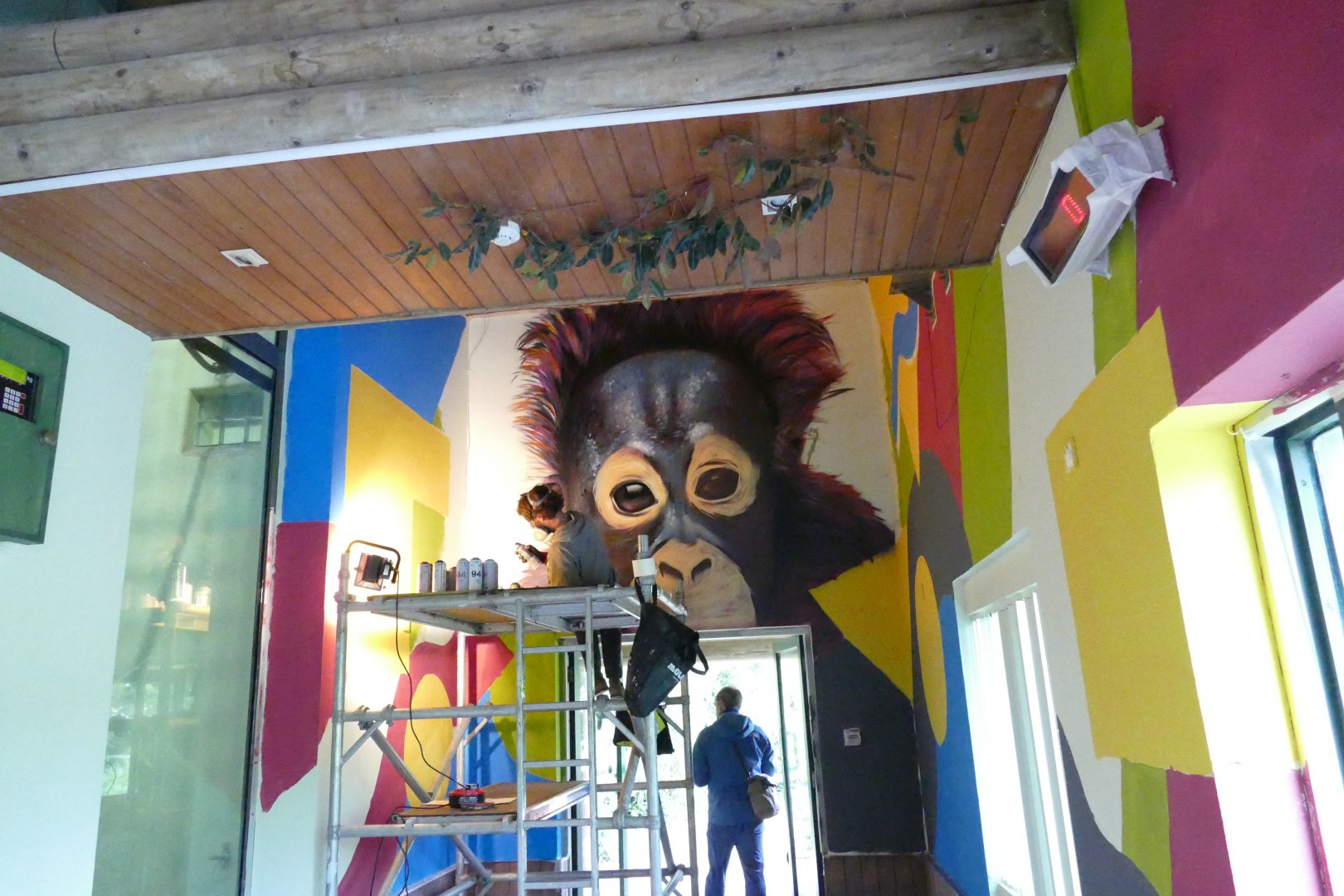 Inside the orangutan house, June 2018
