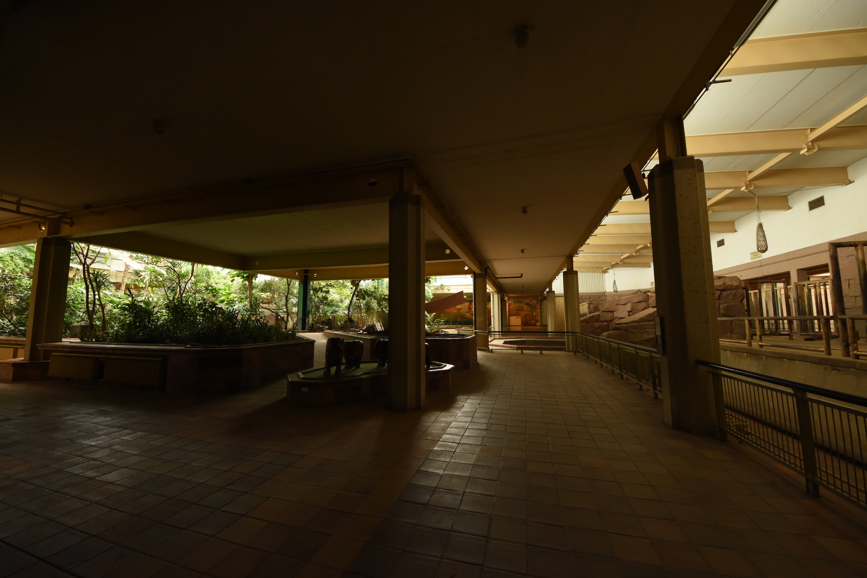 Inside the pachyderm house