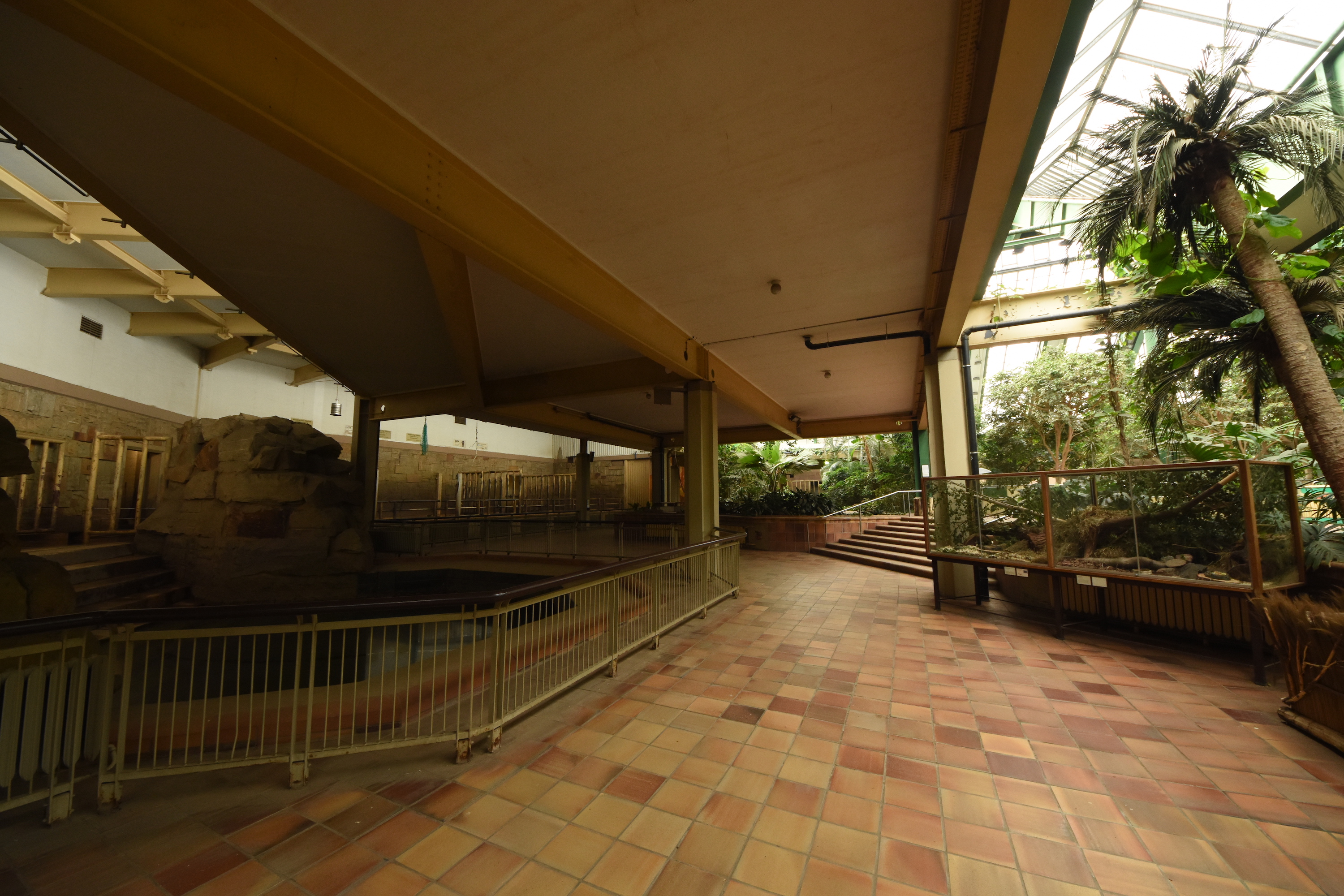 Inside the pachyderm house