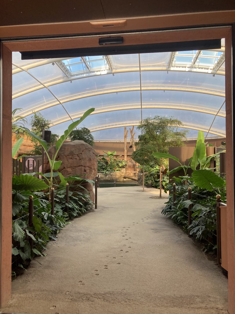 Inside the pagoda indoor area