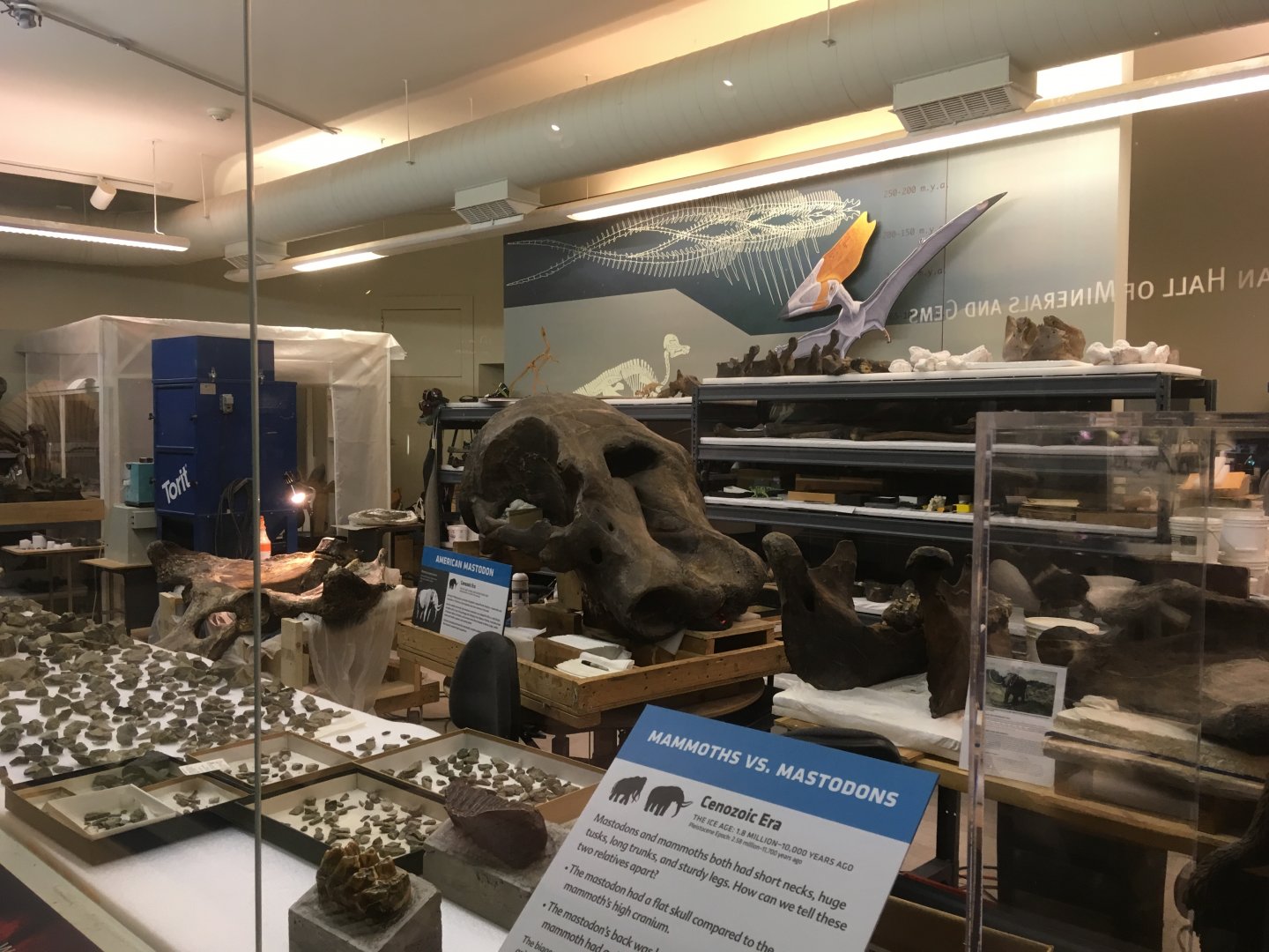 Inside The Paleo Lab